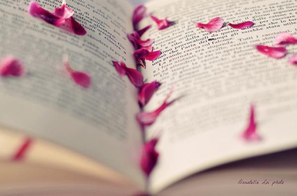 未婚夫迎娶丞相千金后，悔哭了全文免费阅读 尚清秋陆尘安玥汐小说完整版