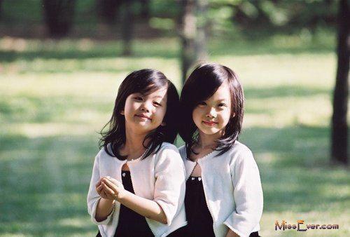 褚怡宁褚廷皓是什么书 褚怡宁褚廷皓免费章节在线阅读