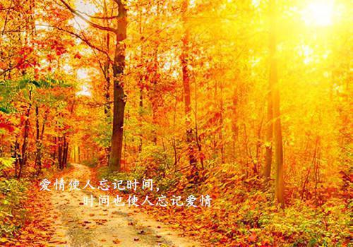 尹落笙贺清珩最新章节免费 尹落笙贺清珩第七章在线阅读