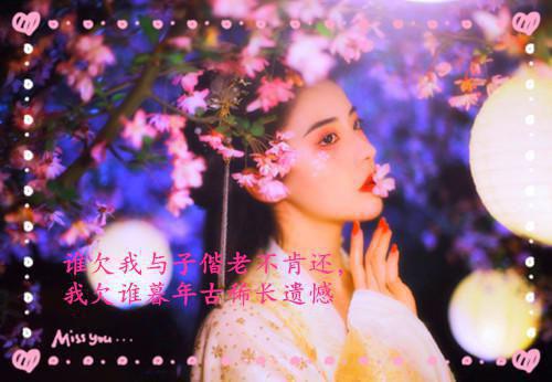 我七夕惨死，老婆却在别人的怀里在线阅读 唐朝林薇小说