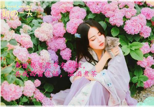 宋越宋凛小说 宋越宋凛免费章节阅读