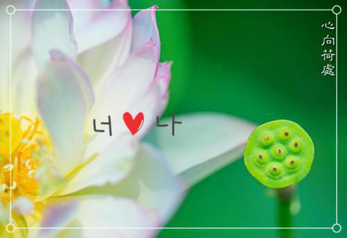 主角名是季昭恩祝朝云全文免费阅读正版