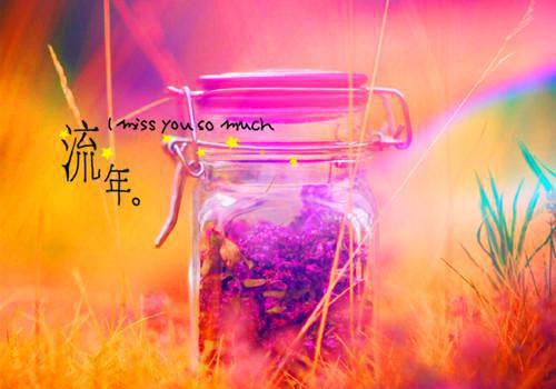 琉璃云渺龙吟小说阅读 琉璃云渺龙吟全文免费无广告