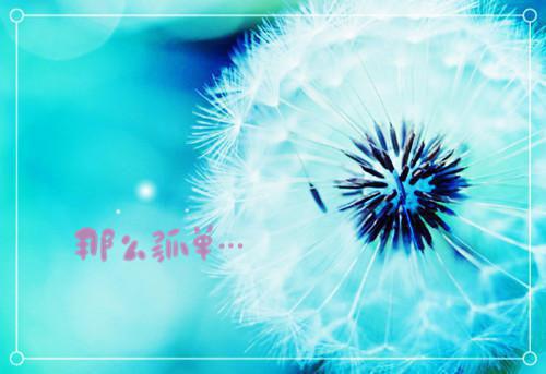 穿越断亲,我怀了狠辣权臣的崽小说王晚晚段流年完整版全文在线赏析-小说穿越断亲,我怀了狠辣权臣的崽全文大结局已完结