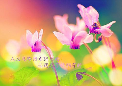 程鸢禇嘉遇完整未删减版在线阅读 程鸢禇嘉遇结局