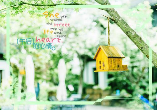 花朵加错全文免费阅读（花朵加错小说）全文在线钱宝霞夏玉读无弹窗大结局_（钱宝霞夏玉全文在线钱宝霞夏玉读无弹窗）花朵加错小说最新章节列表（钱宝霞夏玉）