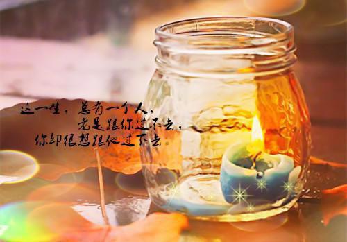 付思宜程知阙乔语星小说叫什么名字 付思宜程知阙乔语星全文免费阅读