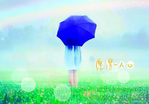 沈妤墨辞小说全文免费阅读-沈妤墨辞最新章节列表免费阅读