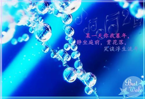 南盈沈宇陈舟小说阅读 南盈沈宇陈舟全文免费无广告