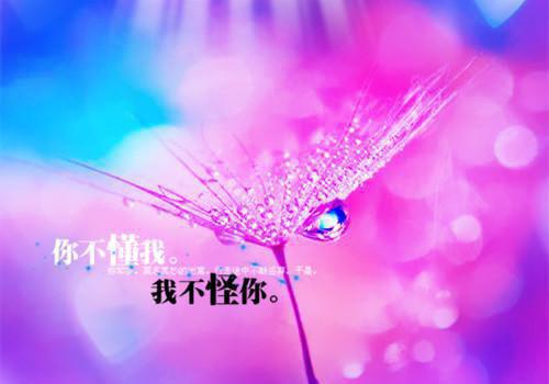 清清刘二的故事 重生后懦弱老爸被打脸章节阅读