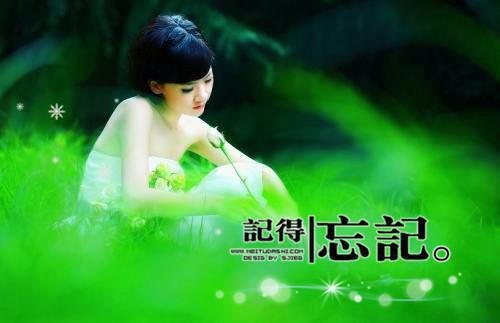 主角是岑鸢傅琛秦绍延的小说免费阅读全文大结局