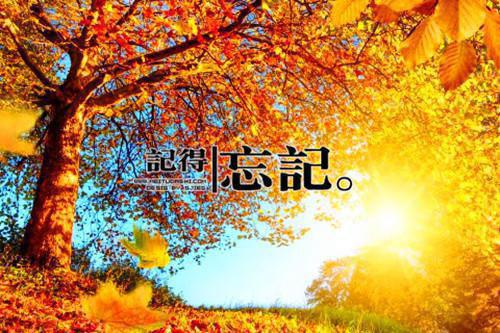 沈舒宜江起淮免费小说 沈舒宜江起淮在线阅读