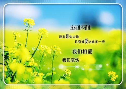 祝林音秦京沢陆宴臣免费 豪门总裁诱哄我逃婚改嫁完整版小说