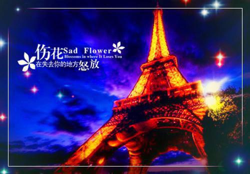 蒋晨安荞林远生小说全文 蒋晨安荞林远生小说免费阅读大结局