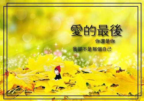 浮黎怀微小说名字免费 战神情丝章节阅读