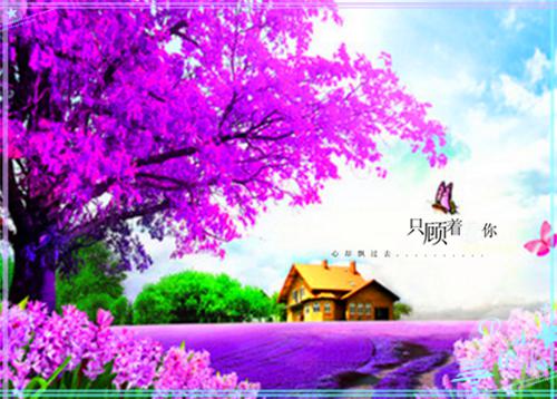 人鱼的复仇免费试读 龙潜凤无瑕小说