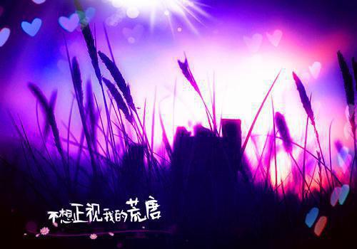 慕昭芸江圣诺免费全本小说 慕昭芸江圣诺章节目录