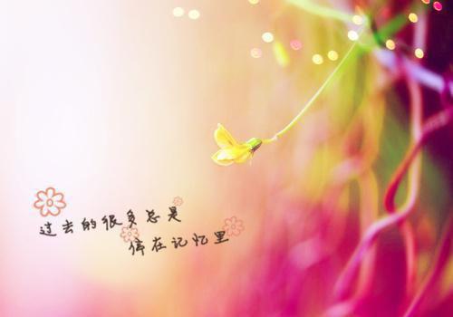 (最新)郁微词江砚行小说完整版免费阅读