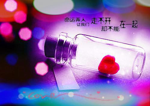 (抖音小说)林景和小说全文阅读免费