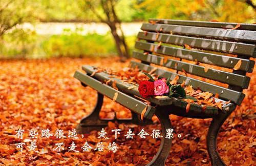 妈妈参加了旅游团，我却死在了医院全集免费阅读 妈妈参加了旅游团，我却死在了医院未删节小说