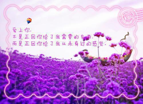 林悠秦朗结局是什么 林悠秦朗免费阅读全文