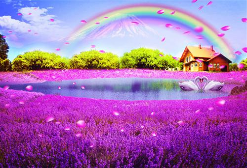 陆妍周浩李桂芳哪里可以看 陆妍周浩李桂芳免费阅读