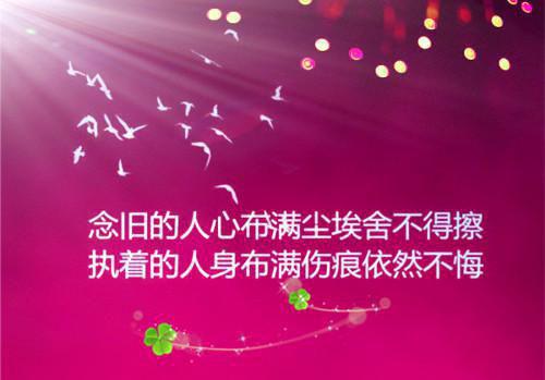 分手后高冷男神哭惨了（沈暮之宋枳）全文浏览_分手后高冷男神哭惨了全文浏览