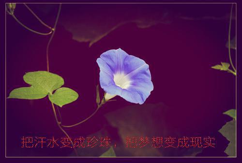 和病娇老公离婚了全文免费阅读(赵玉笙江聿)全文在线赵玉笙江聿读无弹窗大结局_(和病娇老公离婚了赵玉笙江聿)和病娇老公离婚了在线赵玉笙江聿读无弹窗最新章节列表(赵玉笙江聿)