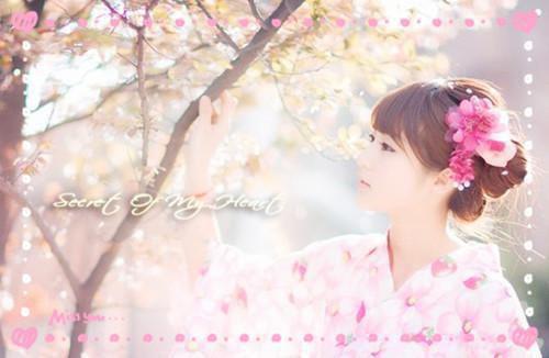 (抖音小说)宋漪兰魏津容小说全文阅读免费