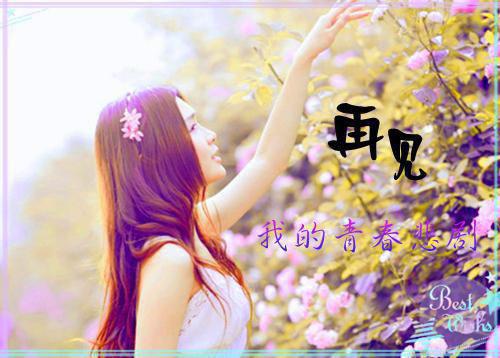 穿越女重生后，两任前夫都追来了（苏冰尘）全文免费阅读无弹窗_（苏冰尘）穿越女重生后，两任前夫都追来了最新章节列表