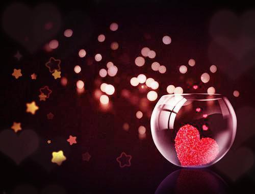 苏南星许木栖小说章节目录 苏南星许木栖免费阅读