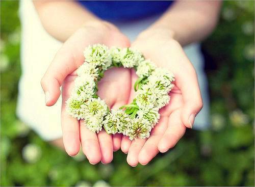 苏烟最新章节免费 苏烟第1章在线阅读