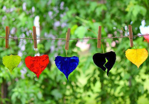 我死后，圣母父母开始爱我小说无弹窗全文阅读 陈善音苏原毅方北章节目录