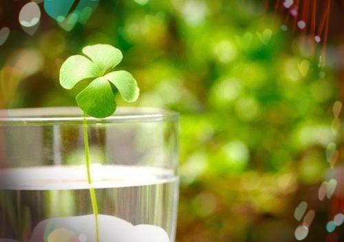 丹竺弦冥纤阮小说名字 魔尊父子团宠雌兔，我提剑杀疯了章节试读