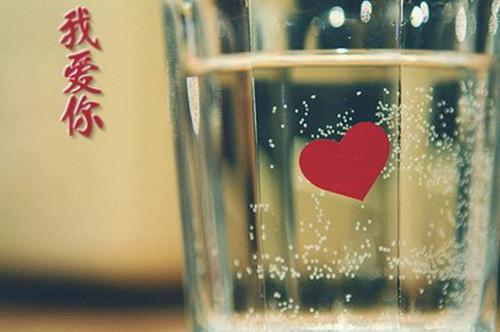 迈巴赫青梅小说叫什么 迈巴赫青梅小说全文免费阅读