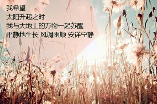 温筠陆延舟（温筠陆延舟）完结版小说-温筠陆延舟小说全文阅读