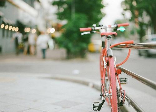 (完整版)陈安然魏碧琼陈家刚田小娥小说免费阅读无广告