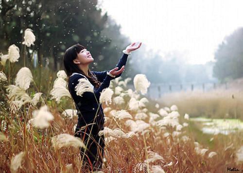 谢珩苏澜（苏澜谢珩全文在线阅读）-谢珩苏澜免费阅读