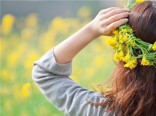 魏昭崔九小说最新章节 魏昭崔九免费阅读