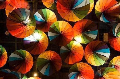 楚楚卿卿八郎小说最后结局 楚楚卿卿八郎完结版免费阅读