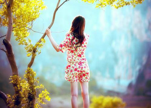 苏静静霍夜霆小说目录 苏静静霍夜霆完整免费版阅读