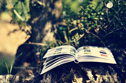 时恙陆渝远(时恙陆渝远小说)全文免费阅读无弹窗大结局_(时恙陆渝远)小鱼 顾渊小说最新章节列表(时恙陆渝远)