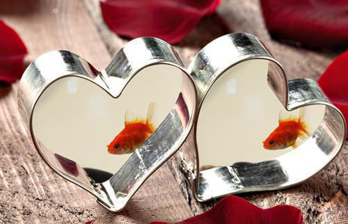 梦梦王浩小说最新章节 梦梦王浩免费阅读