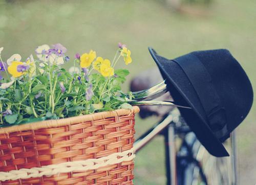 霍长卿张菁菁（张菁菁霍长卿小说）全文免费阅读无弹窗大结局_张菁菁霍长卿小说免费阅读最新章节列表