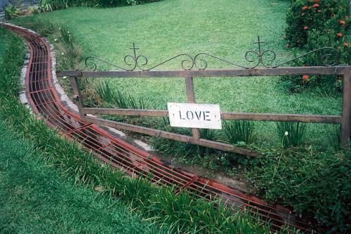 齐巍李怀仪免费阅读 齐巍李怀仪最新章节目录