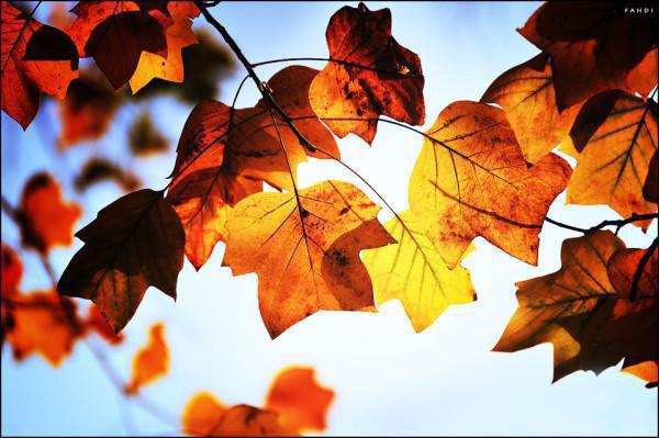 邱樾余晚澄全文免费阅读最新 邱樾余晚澄第2章