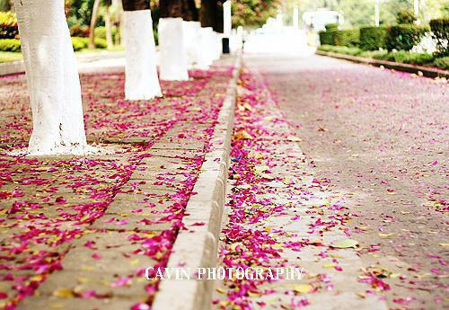 云浅墨珩小说章节目录 云浅墨珩免费阅读第10章