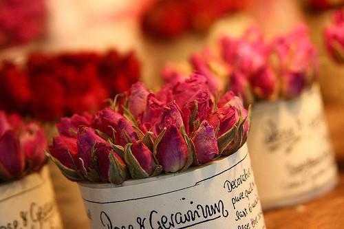 虞伊珞免费（偷听小公主心声后暴君一家都慌了）全文免费阅读无弹窗大结局_偷听小公主心声后暴君一家都慌了免费最新章节列表