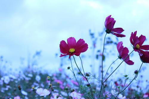 模房主管的个人简历参考范文
