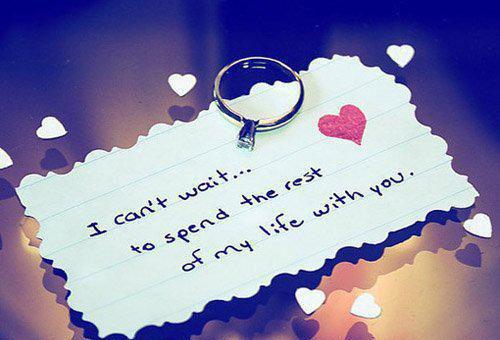 程安周晓灵李双双小说全文免费阅读 程安周晓灵李双双最新章节